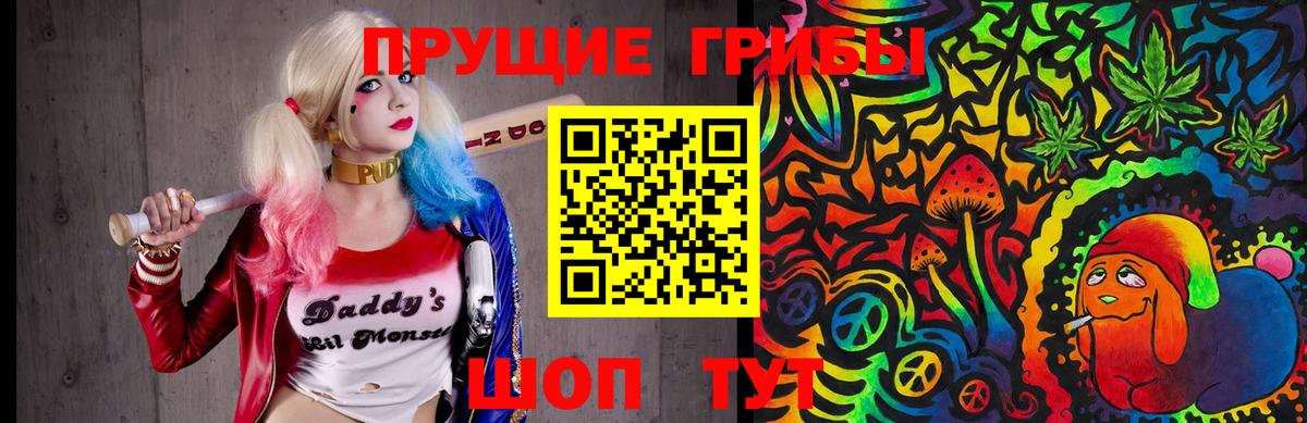 Галлюциногенные грибы Psilocybe Холмск